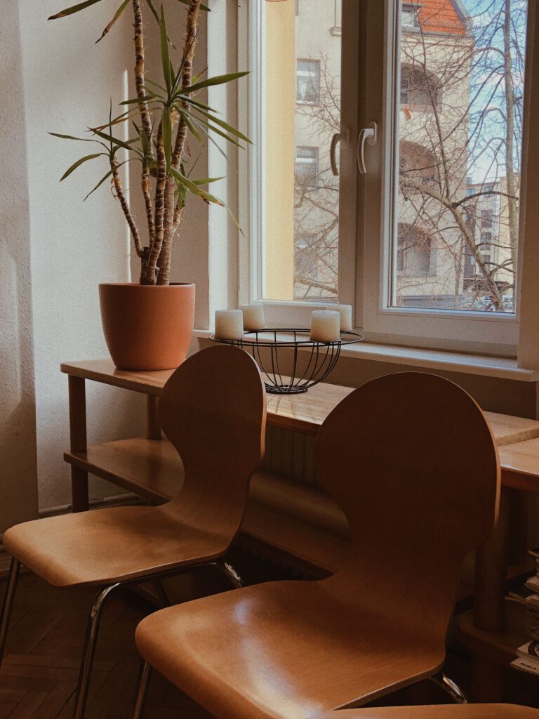 Warm interior view featuring wooden chairs, a potted plant, and a window in Berlin.